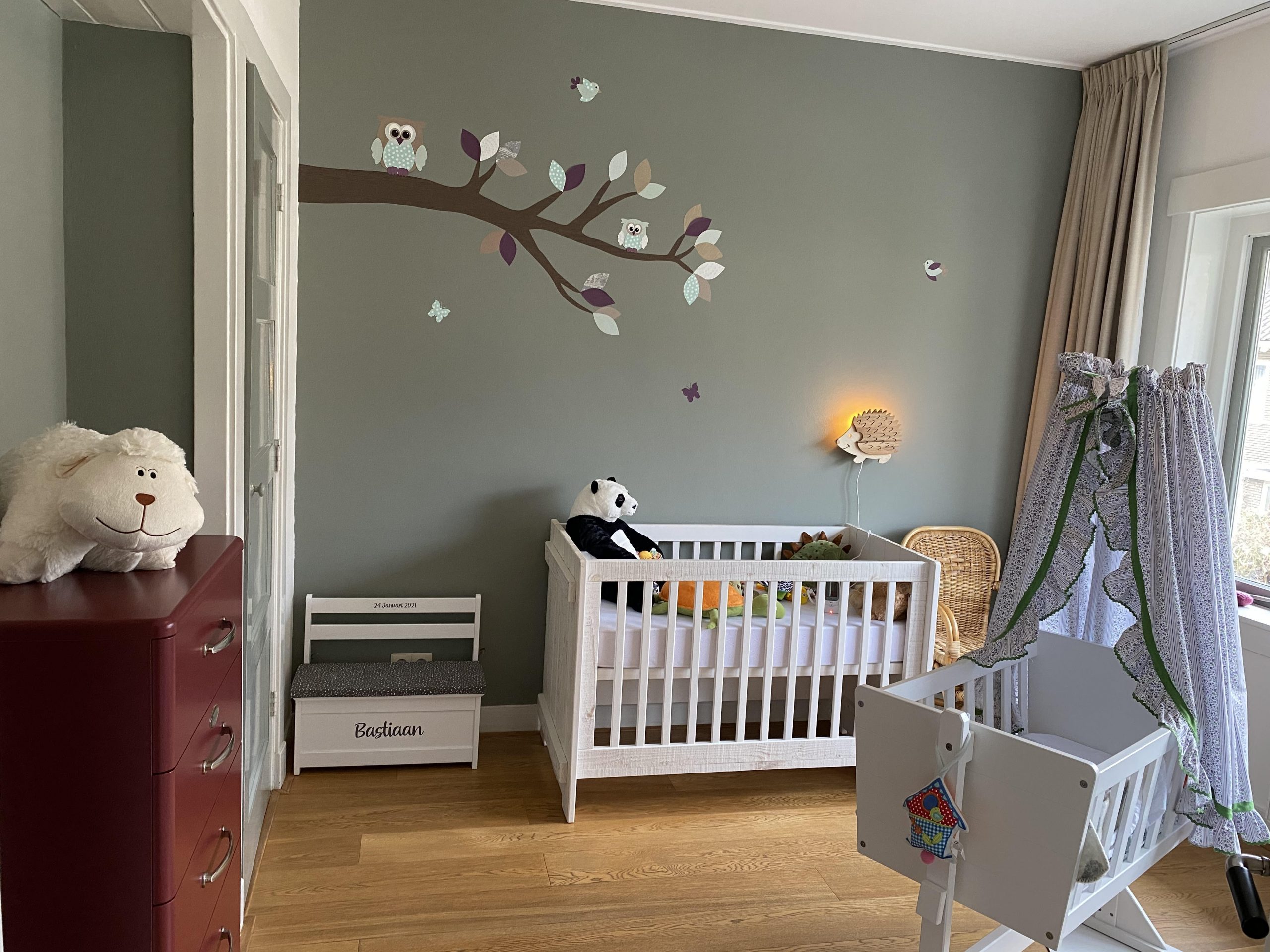 voorjaarstak uiltjes mintgroen paars babykamer muursticker uiltje behang