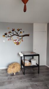 Vos in hangmat roodbruin, bladermix roestrood-okergeel-zwart